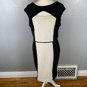 Elegant Black and Cream Dress